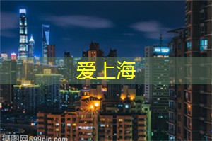 爱上海同城交友：上海的教育与科技创新