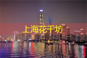 上海品茶工作室：热议！上海新增5座地铁站，打造更便利的城市交通网络！