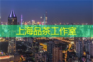 爱上海龙凤419：上海夜游：感受独特的四川美食