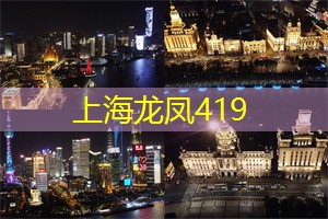 上海新茶工作室：顿悟：在夜空下重拾自我